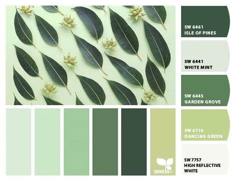 Paint colors from ColorSnap by Sherwin-Williams Green Paint Shades Colour Palettes, Pista Colour Combination, Pistachio Green Colour Combination, Kiwi Green Color Palette, Leaf Green Color Palette, Lime Green Color Pallete, Pista Green Colour, Sherwin Williams Color Schemes, Lime Green Bedrooms