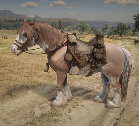 Rdr2 Horse Breeds, Rdr2 Online Horses, Rdr Horses, Rdr2 Horses, Hilarious Animal Memes, Rdr2 Online, Red Dead Redemption 3, Red Dead Online, Read Dead