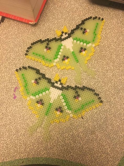 Luna Moth Perler Bead Pattern, Cottagecore Perler Bead Patterns, Perler Bead Patterns Cottage Core, Perler Bead Cottagecore, Fairy Perler Bead Pattern, Perler Bead Moth, Moth Perler Beads, Pearler Beads Ideas Aesthetic, Perler Bead Patterns Easy