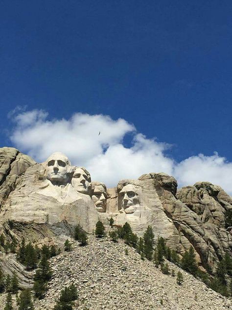 Mount Rushmore Mount Rushmore Picture Ideas, Black Hills, South Dakota, Picture Ideas, Mount Rushmore, Washington, Natural Landmarks, Animals, Travel