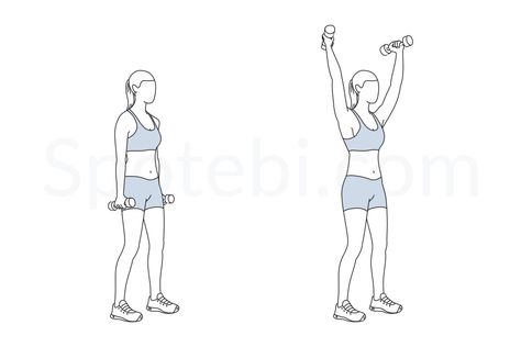 The standing dumbbell Y raise targets your shoulders and chest and helps to strengthen and tone your upper body. This exercise helps to improve posture, sculpts the shoulders and lifts the breasts. http://www.spotebi.com/exercise-guide/standing-y-raise/ Spotebi Workout, Jumping Jacks Workout, Hip Flexor Exercises, Side Crunches, Push Workout, Back Fat Workout, Arm Circles, Cardio Workout At Home, Calories Burned