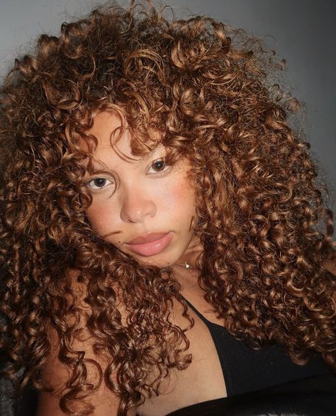 Copper Hair Color On Curly Hair, Curly Cowboy Copper Hair, Sunkissed Curly Hair, Cowboy Copper Curly Hair, Copper Highlights On Brown Hair Curly, Copper Brown Curly Hair, Copper Brown Hair With Highlights, Copper Brown Hair Black Women, Dark Copper Curly Hair