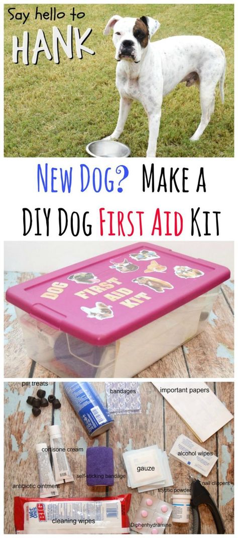 Have you got a new rescue dog or puppy? Create this easy do it yourself kit to easily find what you need to care for them. Make a DIY First Aid Kit for your New Dog! #ad #NewBeneful Dog Hacks Diy, Dog First Aid Kit, Dog First Aid, Diy First Aid Kit, Dogs Diy Projects, Puppy Obedience Training, Positive Dog Training, Easiest Dogs To Train, Basic Dog Training