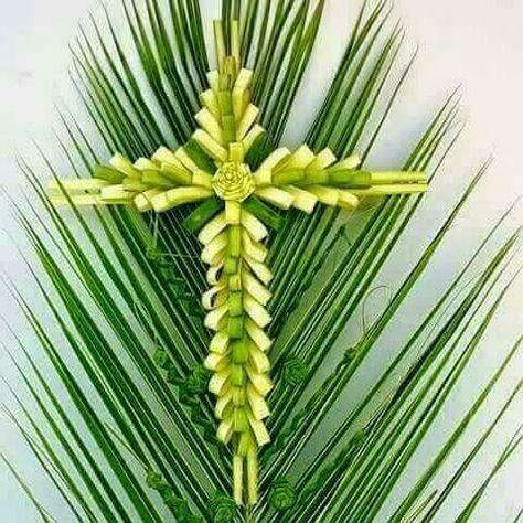 Palm Leaves, Palm Tree, Flowers, Green, Palmas