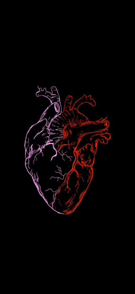 Heart In Dark Background, Heart Wallpaper Realistic, Human Heart Aesthetic, Real Heart Aesthetic, Realistic Heart Wallpaper, Real Heart Wallpaper, Jantung Aesthetic, Heart To Heart Wallpaper, Hearts Astethic