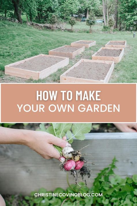 Get started with your first garden thanks to this how to guide that walks you through how to set up your own gardening and get started gardening for beginners. It offers everything you need to know in order to become a master gardener in no time! How To Garden For Beginners, 2024 Activities, Garden For Beginners, First Garden, Beginner Gardening, Flower Truck, Gardening 101, Starting A Garden, Flower Gardening