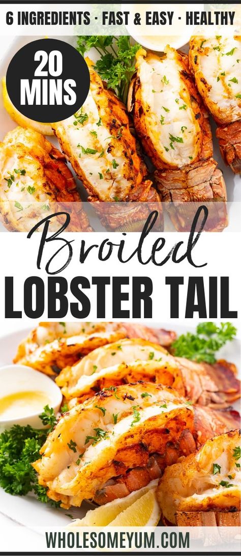 The Best Broiled Lobster Tail Recipe Prepare Lobster Tail, Best Way To Cook A Lobster Tail, How To Season Lobster Tail, Roasted Lobster Tail Recipe, How To Cook Fresh Lobster Tails, How Do I Cook Lobster Tails, Large Lobster Tail Recipe, Cooking Lobster Tails From Frozen, Best Way To Cook Frozen Lobster Tails