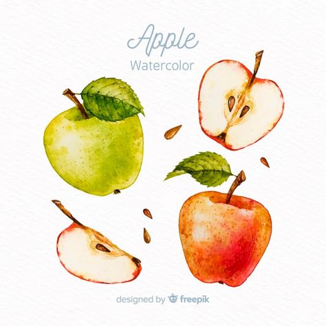 Apple Set, Fruit Logo Design, Apple Illustration, Vegetable Illustration, Fruit Logo, Apple Painting, Watercolor Logo, Apple Design