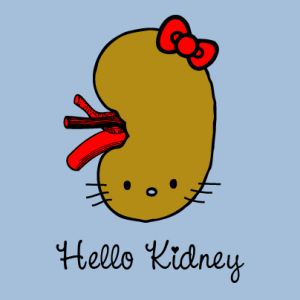 The Kidney supports the reproductive organs.  When the Kidney Qi is abundant, sexual and reproductive life is vigorous.  Learn the Kidney Healing Sounds here. Medische Humor, Renal Physiology, The Awkward Yeti, Donate Life, Organ Donation, Medical Studies, Science Jokes, Medical Humor, Science Humor