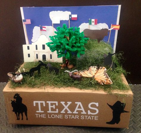 5th grade state float project. Texas State float idea. Shoebox State Float School Projects, Texas Float School Project, State Float School Project Texas, State Projects For Kids 5th Grades, State Float School Project, State Float Project, Texas History Projects, Alamo Project, Shoebox Float