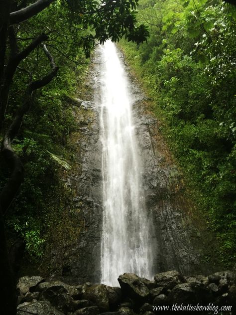 Manoa Falls - A Guide To Hiking This Jungle Trail In The City Manoa Falls Oahu, Manoa Falls, Hawaii Trip Planning, Food Tech, Hawaii Trip, Waterfall Hikes, Hiking Guide, Hawaii Usa, Fall Hiking