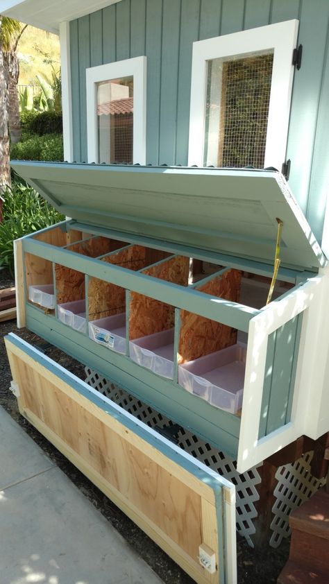 Green Chicken Coop Ideas, Colored Chicken Coop, Sage Green Chicken Coop, Chicken Coop Nesting Boxes Diy, Chicken Coop Colors Scheme Exterior, Chicken Coop Exterior, Chicken Coop Colors Scheme, Chicken Coop Colors, Green Chicken Coop