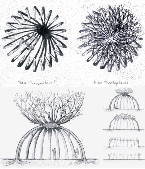 Arcade Architecture, Tree Building, Japanese Student, Plum Trees, Living Willow, Japanese Cherry Tree, Growing Trees, Eco Garden, Cool Tree Houses