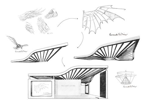 Eagle Architecture Concept, Dragonfly Inspired Architecture, Bird Architecture Concept, Butterfly Architecture Concept, Bird Inspired Architecture, Plan Concept Architecture, Design Concept Architecture, Sketchbook Architecture, Biomimicry Architecture