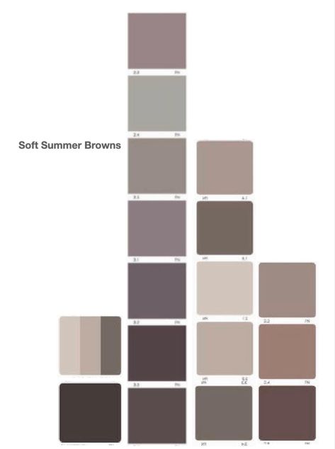 Brown For Soft Summer, Browns For Soft Summer, Soft Summer Color Palette Brown, Soft Summer Fall Colors, True Summer Browns, Muted Cool Color Outfits, Dusk Summer Palette, Soft Summer Browns, Cool Summer Browns