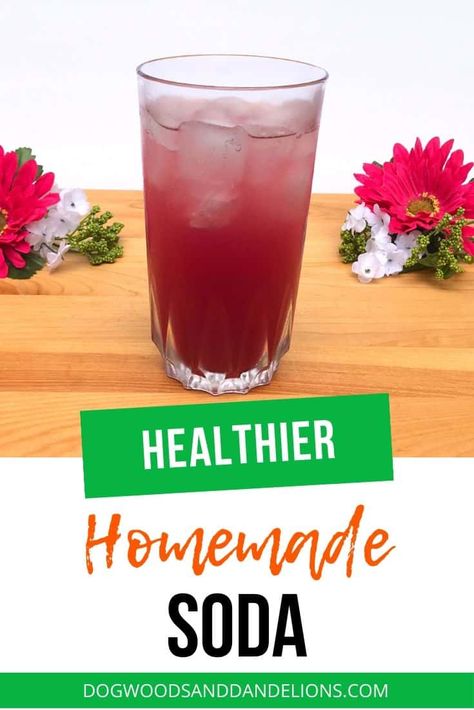 By making a homemade soda syrup concentrate, you can make a healthier homemade soda perfect for the holidays. This is also a good substitute for the expensive Soda Stream syrups. #dogwoodsanddandelions #homemadesoda #healthysoda #sodasyrup Homemade Soda Syrup, Soda Stream Recipes, Soda Alternatives, Diy Soda, Soda Syrup, Healthy Soda, Homemade Soda, Soda Recipe, Homemade Syrup