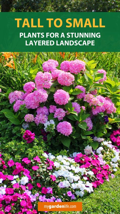 Layered Flower Garden, Potted Plants In Landscaping, Layering Plants For Landscaping, Layering Flower Beds, Plants For East Side Of House, Tall Landscape Plants, Small Perennial Garden Ideas, What To Plant Along A Fence, Layered Flower Bed Ideas