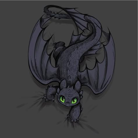 toothless how to train your dragon - Google Search How To Train Your Dragon Tattoo, Toothless Dragon Tattoo, Toothless Tattoo, Toothless Wallpaper, Toothless Drawing, Cute Toothless, Toothless And Stitch, Toothless Dragon, Pikachu Wallpaper