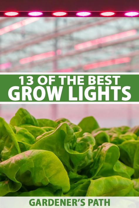 For healthy indoor gardens, seedlings, and houseplants, plenty of bright light is needed. If your plants are struggling, check out our list of 13 of the best grow lights for indoor plants and seedlings. They give a fast, easy, and economical solution for vigorous indoor gardens. #growlights #indoorgarden #gardenerspath House Plant Grow Light Setup, Greenhouse Grow Lights, Grow Lights For Plants Indoor Gardening, Plant Lights Indoor Setup, Grow Lights For Houseplants, Alaska Gardening, Hydroponics Plants, Starting Garden, Kratky Method