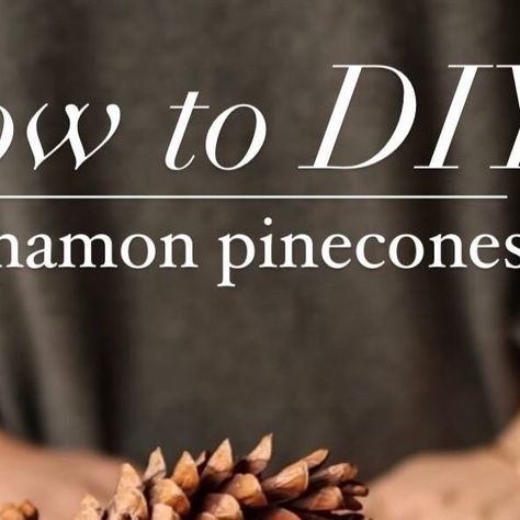 116K views · 6K likes | Katie McGinn | Garden Coach & Wildcrafter on Instagram: "Cinnamon pinecones are iconic for the holidays. But I find it so funny buying a bag of something that is literally laying on the ground - FOR FREE! So, let’s make our own! The first thing you will need to do is find conifers (these are trees that produce cones). Then comes the fun part - hunting for cones on the ground! You should easily find them scattered about the understory of the trees. Once you have gathered enough, bring them home & set them outside for a bit to give bugs a chance to escape. Then it’s time to bake them on a low temperature to dry them out, make sure they are bug free & to melt off/bake in any sap that is on the pinecones. Place them on a foil-lined baking tray & bake at 225 degrees Cinnamon Pinecones, Laying On The Ground, Tray Bake, Bring Them Home, Baking Tray, So Funny, On The Ground, Pine Cones, Winter Decor