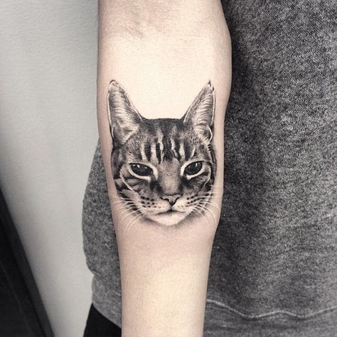 Tattoo Gato, Cat Outline Tattoo, Cat Portrait Tattoos, Cat Tattoo Simple, Cute Cat Tattoo, Tattoo Dotwork, Black Cat Tattoos, Theme Tattoo, Cat Tattoo Designs