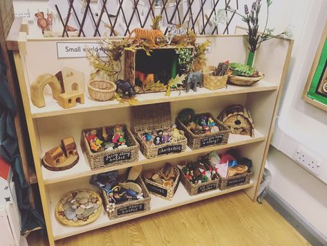 Preschool Set Up, Science Display, Reggio Emilia Classroom, Reception Classroom, Reception Class, Eyfs Classroom, Reggio Classroom, Natural Nursery, Preschool Centers