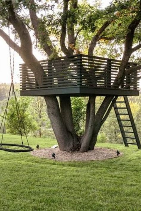 Tree House With Swings, Modern Treehouse Kids, Low Tree House, Easy Diy Treehouse, Kids Treehouse Ideas, Treehouse For Adults, Simple Treehouse, Small Tree House, Small Treehouse