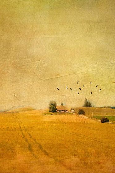 Grace Farrell, Colors Name In English, Day With Friends, Fields Of Gold, Colors Shades, Beautiful Cottages, Rainbow Aesthetic, Pretty Pins, Yellow Aesthetic