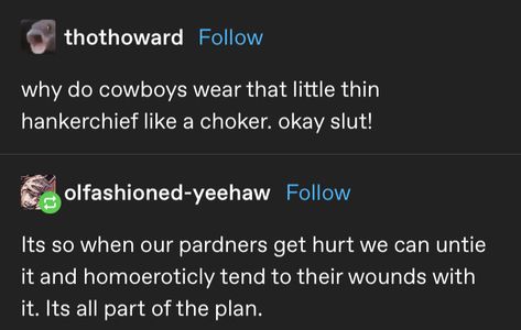 Cowboy Prompts, Cowboy Tumblr, Gay Cowboy Aesthetic, Gay Cowboy, Cowboys Memes, Brokeback Mountain, Cowboy Aesthetic, Night At The Museum, Baby Cowboy