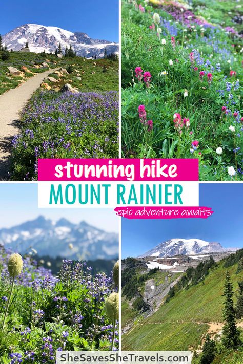 Skyline Trail Mt Rainier: What to Expect Hiking this Wild & Beautiful Mountain Pacific Northwest Hiking, Seattle Travel Guide, Washington Hikes, Mount Rainier National Park, Usa Travel Guide, Mt Rainier, Rainier National Park, Us National Parks, Hiking Trail