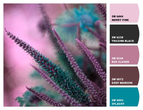 Color Groups, Red Clover, Ice Plant, Handmade Inspiration, Color Grouping, Graphic Design Projects, Sherwin Williams, Color Themes, Colour Palette