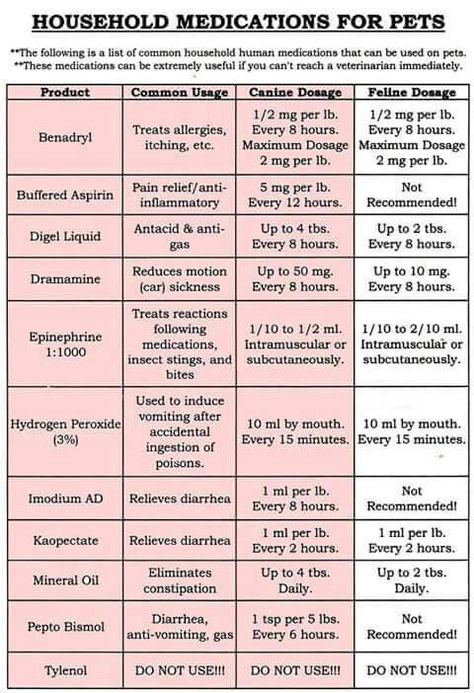 Doggy med doses and uses Do NOT use TYLENOL Medicine Safe For Dogs, Meds For Dogs, Itchy Dog, Pet Meds, Dog Medicine, Dog Remedies, Medication For Dogs, Vet Assistant, Dog Health Tips