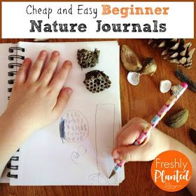 Easy Peasy Beginner Nature Journal Ideas for Kids Kindergarten Nature Journal, Preschool Nature Journal, Nature Journal Kids, Nature Journal Ideas, Journal Ideas For Kids, Nature Walk Activities, Nature Journals, Homeschool Nature Study, Classroom Homeschool