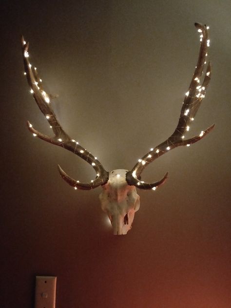 Deer head with fairy lights on antlers Deer Skull Crafts, Gold Antlers Decor, Deer Horns Decor, Decorated Antlers, Deer Head Decor, Deer Skull Art, Deer Antler Crafts, Antler Ideas, Cow Skull Art