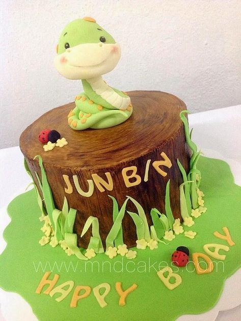 Baby Turns One, Snake People, Snake Cake, Snake Zodiac, Snake Cakes, Snake Birthday, Snake Party, Baby Snakes, Chinese Horoscope