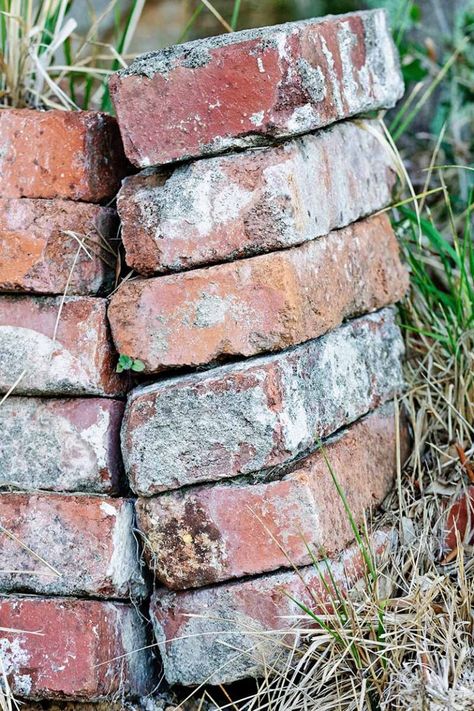 Bricks In Garden, Leftover Bricks, Brick Garden Edging, Brick Garden, Garden Wallpaper, Outdoor Landscape, Have Inspiration, Garden Edging, Garden Yard Ideas