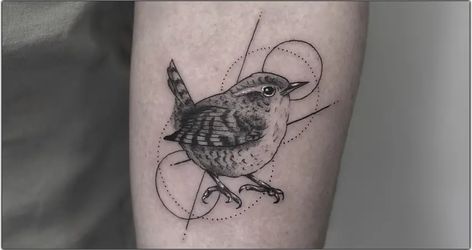 Winter Wren Tattoo, Wren Tattoos For Women, Wren Line Drawing, House Wren Tattoo, Wren Tattoo Small, Wren Tattoo Design, Cactus Wren Tattoo, Fairy Wren Tattoo, Carolina Wren Tattoo