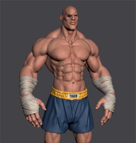 ArtStation - Sagat , Alexandre Taveira Man Anatomy, Street Fighter Art, Digital Sculpture, Designer Profile, 남자 몸, Body Anatomy, 인물 드로잉, Anatomy Drawing, Anatomy Reference