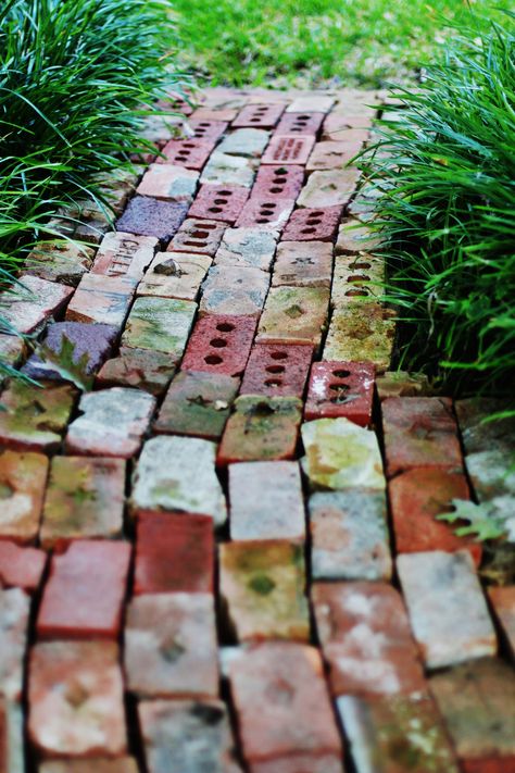 How To Make a Brick Path Even Cuter - Thistlewood Farm Rock Pathway, Garden Pathways, Brick Pathway, Backyard Walkway, Brick Path, Brick Walkway, Pathway Landscaping, Thistlewood Farms, Brick Garden