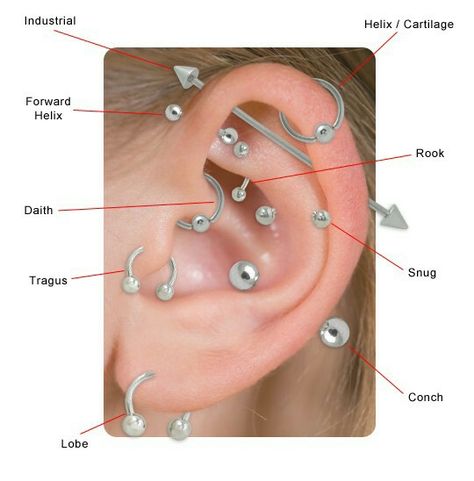 Ear Piercings Map Piercing Diagram, Piercing Map, Ear Piercing Diagram, Earring Placement, Piercing Names, Ušný Piercing, Piercing Guide, Piercings Chart, Different Types Of Piercings