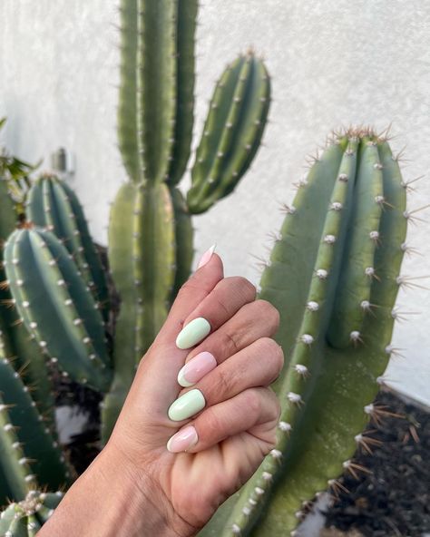 Cactus On Nails, Cactus Nails Simple, Green Cactus Nails, Cacti Nail Art, Nail Designs Cactus, Cactus Nails, Green Nails, Cactus Plants, Nail Inspo