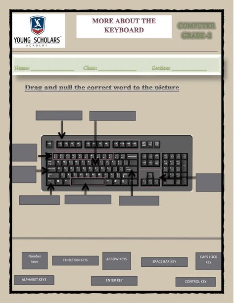 More about the keyboard worksheet Keyboard Worksheet, Computer Worksheet, Output Device, Action Verbs, Keyboard Shortcuts, Computer Desktop, Computer Hardware, School Subjects, The Keys