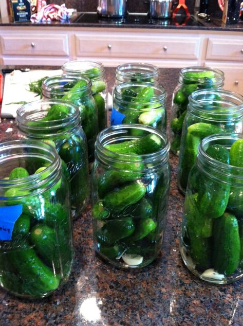 Deli Pickles Recipe, New York Deli, Pickle Recipe, Deli Style, Pickling Cucumbers, Guest Blogging, Pickling Recipes, New York Style, Daughter In Law