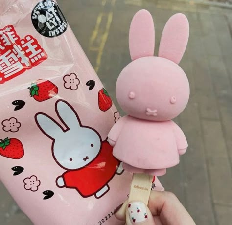 Kawaii Cooking, Cute Snacks, Japan Aesthetic, Kawaii Food, A Bunny, Japanese Aesthetic, Dessin Adorable, Cute Desserts, Food Obsession