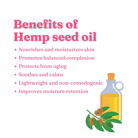 A natural, lightweight option for your skin. Hemp seed oil nourishes and moisturizes the skin while promoting a balanced complexion and protecting against aging. It also keeps skin smooth, glowing, and non-oily! The benefits of hemp seed oil are undeniable, Mentioned in this post. #omez #hempseedoil #hemp #oil #skin #acne #healthy #benefits Hemp Oil Benefits Skin, Hemp Seed Oil Benefits Skin, Benefits Of Hemp Seed Oil, Hemp Oil Benefits, 2024 Board, Oil Skin, Domestic Goddess, Healthy Benefits, Hemp Seed