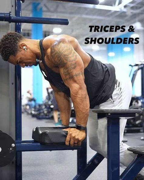 Josh Bailey on Instagram: "Motivation is like taking a shower it wears off after a while, but you still have to do it daily which is where consistency takes place. Use this mindset when it comes to your daily habits of training and nutrition. The more you do it the closer you’ll get to your goals.   💥Triceps & Shoulders Workout  1️⃣🅰️ Machine Press 1️⃣🅱️ Plate Raises 2️⃣ Shoulder Press Variation  3️⃣ EZ Bar Skull Crushers  4️⃣🅰️ Upright Rows 4️⃣🅱️ Lateral Raises  5️⃣ Single Arm Tricep Kickbacks   It’s time to lock in. If you need guidance with training, nutrition or even having a better understanding of what you should be doing click the link in my bio and let’s chat.   #armworkout #tricepsworkout #physique #shoulders #strengthtraining #fitfam #gymmotivation #coach #joshbailey #truevi Skull Crushers, Shoulders Workout, Tricep Kickback, Lateral Raises, Shoulder Press, Triceps Workout, Take A Shower, Shoulder Workout, Daily Habits