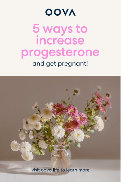 Increasing your progesterone levels can help you achieve pregnancy! Read this blog post to learn the 5 ways to improve progesterone. #Pregnancy #Fertility #Infertility #Progesterone #HealthTips #HormoneHealth #WomensHealth Increase Progesterone Naturally, Natural Progesterone, Increase Progesterone, Progesterone Cream, Corpus Luteum, Fertility Testing, Assisted Reproductive Technology, Progesterone Levels, Ivf Cycle