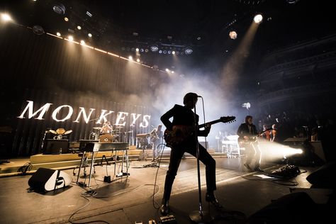 Arctic Monkeys Aesthetic, Arctic Monkeys Concert, Monkeys Aesthetic, Arctic Monkeys Wallpaper, Aesthetic Concert, Monkey Wallpaper, The Last Shadow Puppets, Monkey 3, Last Shadow