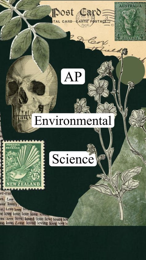 notebook cover for AP Environmental Science Environmental Science Poster, Environment Drawing Ideas, Science Notebook Cover, Basic English Grammar Book, Ap Environmental Science, Biology Projects, English Grammar Book, Scrapbook Cover, Science Notebook