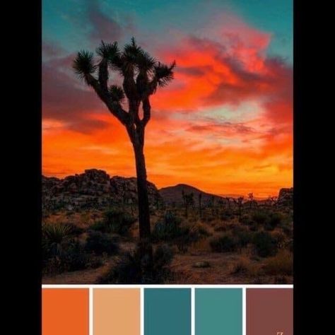 California Sunset Color Palette, Desert Sunset Color Palette, Sunset Themed Wedding, Western Color Palette, Desert Color Palette, Southwestern Colors, Sunset Color Palette, Southwest Colors, Talking Stick